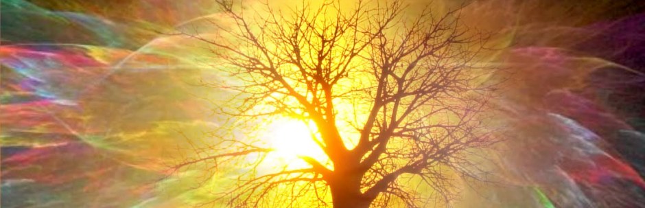 albero1